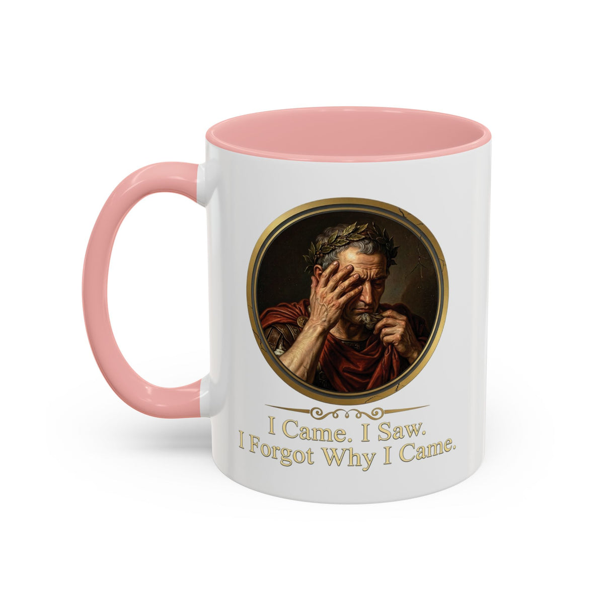 I Came, I Saw, I Forgot Why I Came Mug