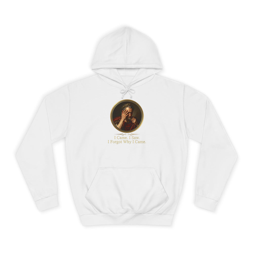 I Came, I Saw, I Forgot Why I Came Hoodie