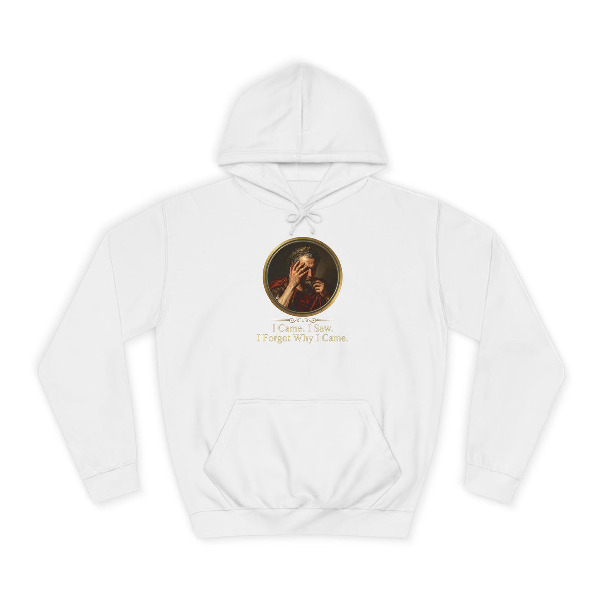 I Came, I Saw, I Forgot Why I Came Hoodie