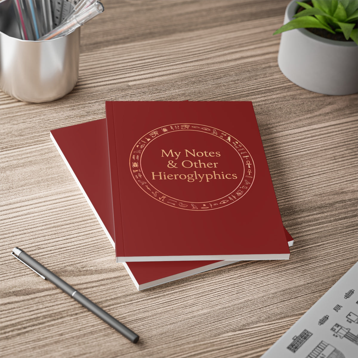 My Notes & Other Hieroglyphics A5 Softcover Notebook