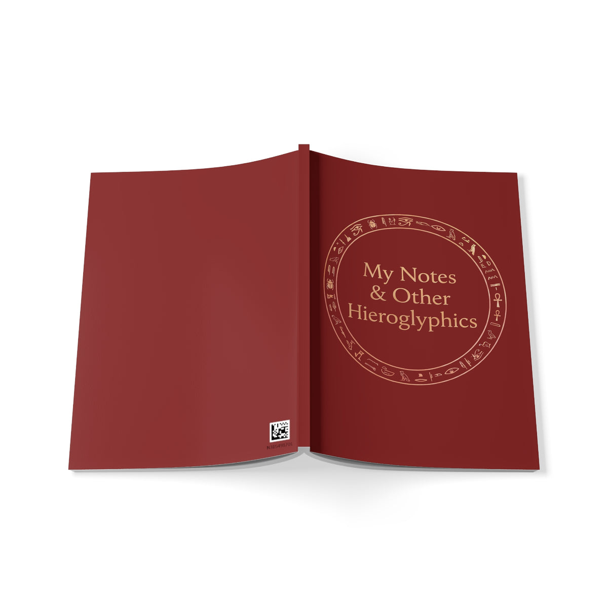 My Notes & Other Hieroglyphics A5 Softcover Notebook