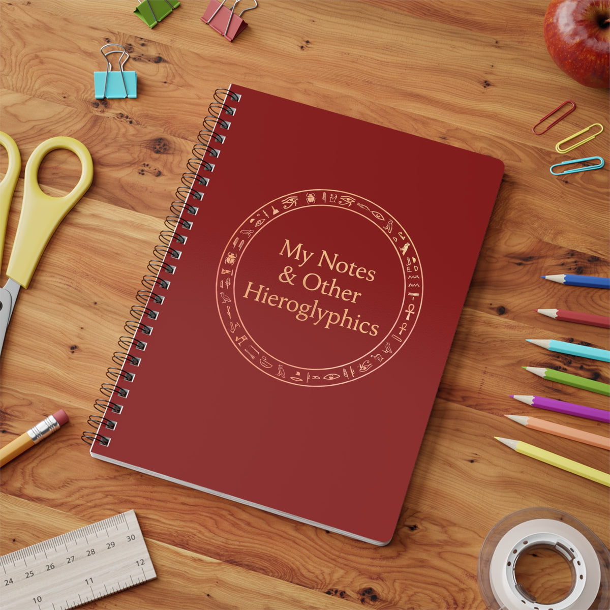 My Notes & Other Hieroglyphics A5 Wirobound Notebook
