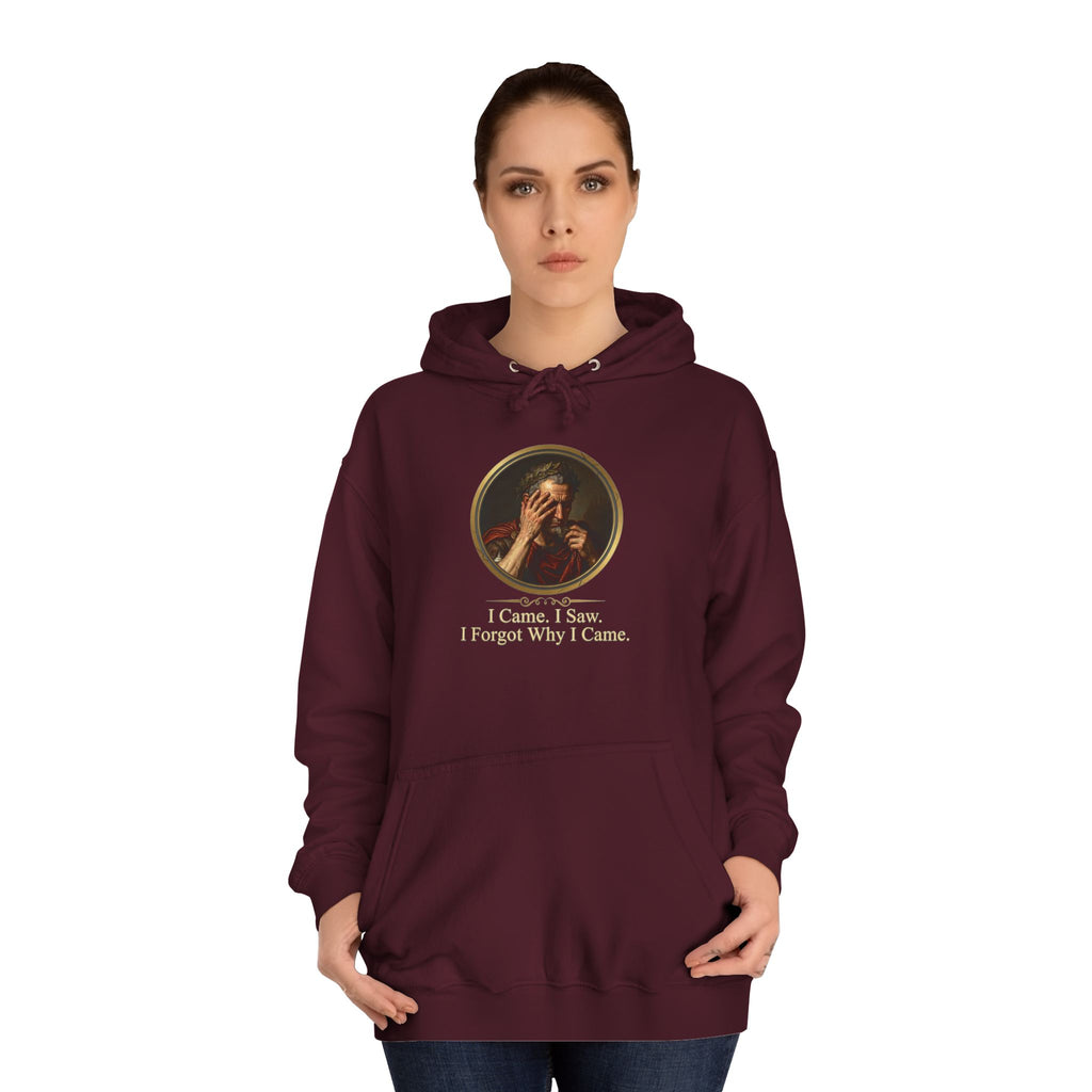 I Came, I Saw, I Forgot Why I Came Hoodie