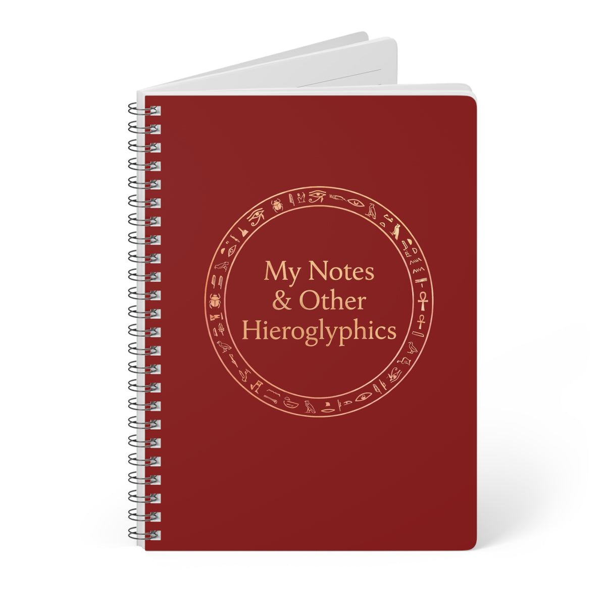 My Notes & Other Hieroglyphics A5 Wirobound Notebook
