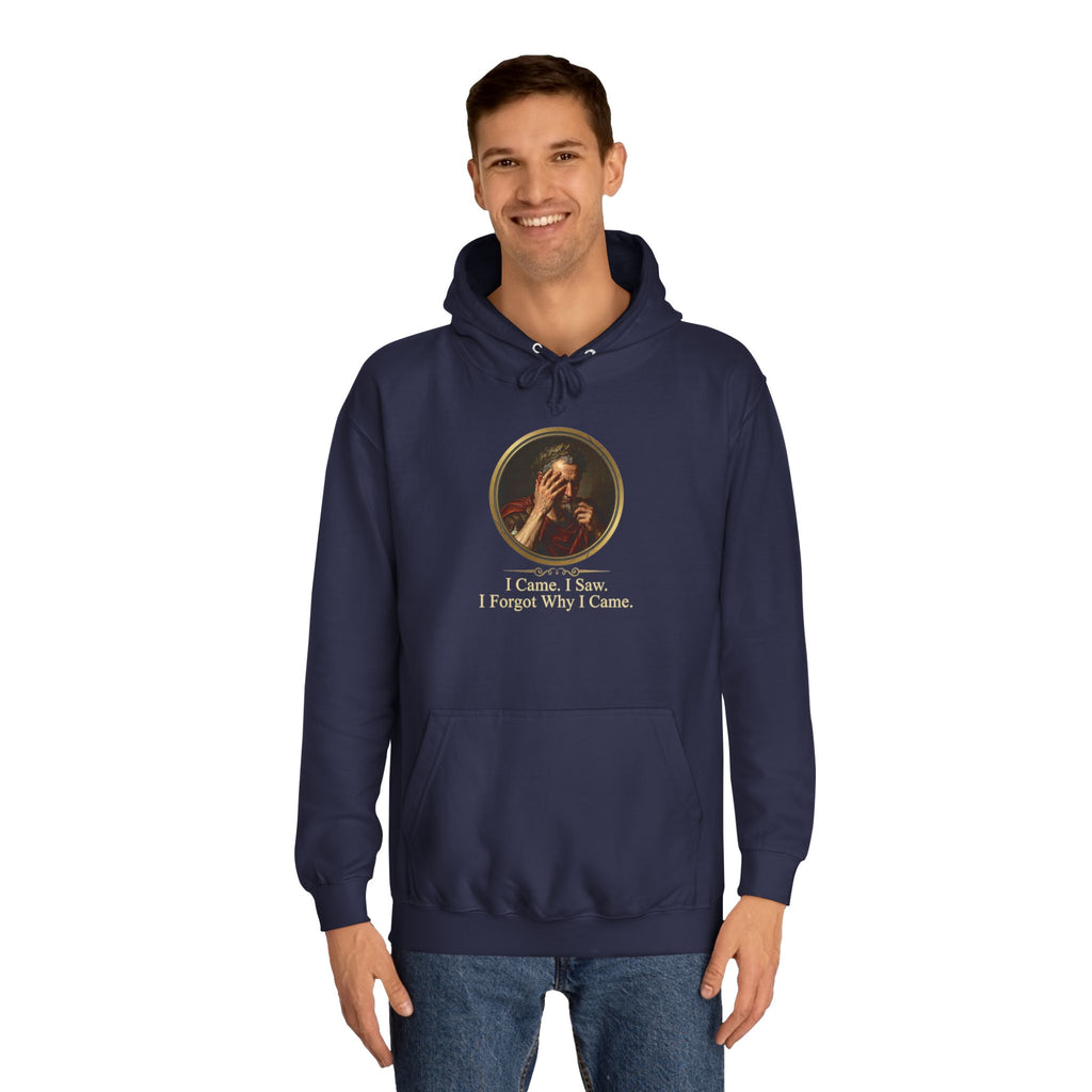 I Came, I Saw, I Forgot Why I Came Hoodie