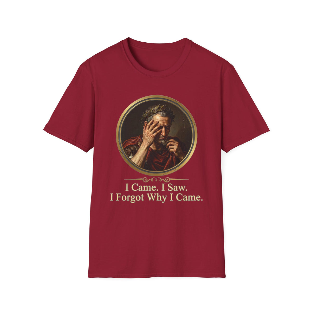 I Came, I Saw, I Forgot Why I Came T-Shirt