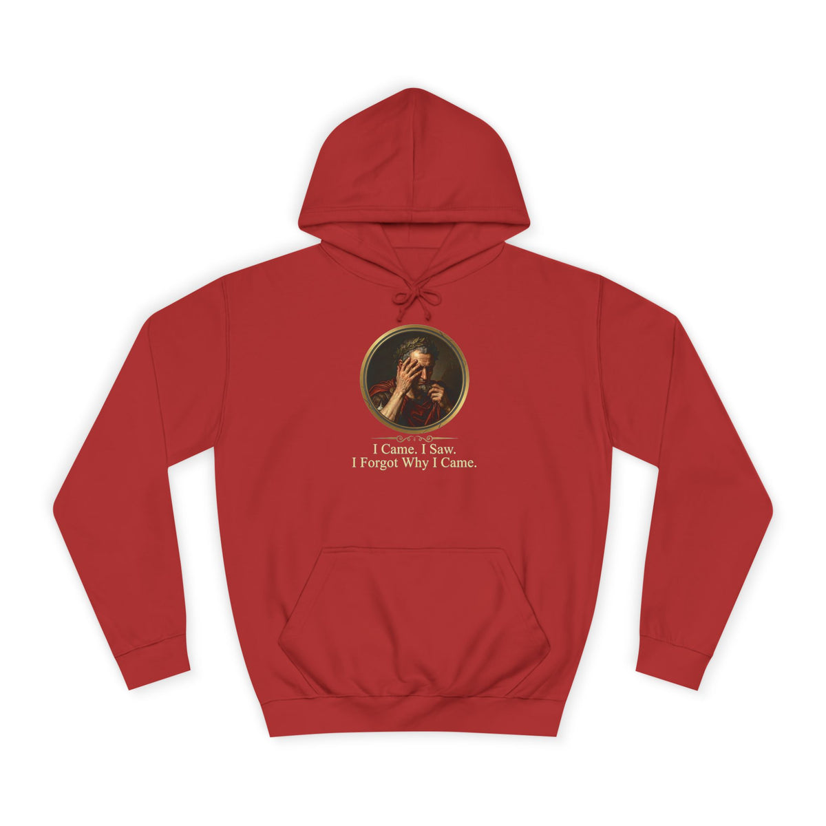 I Came, I Saw, I Forgot Why I Came Hoodie