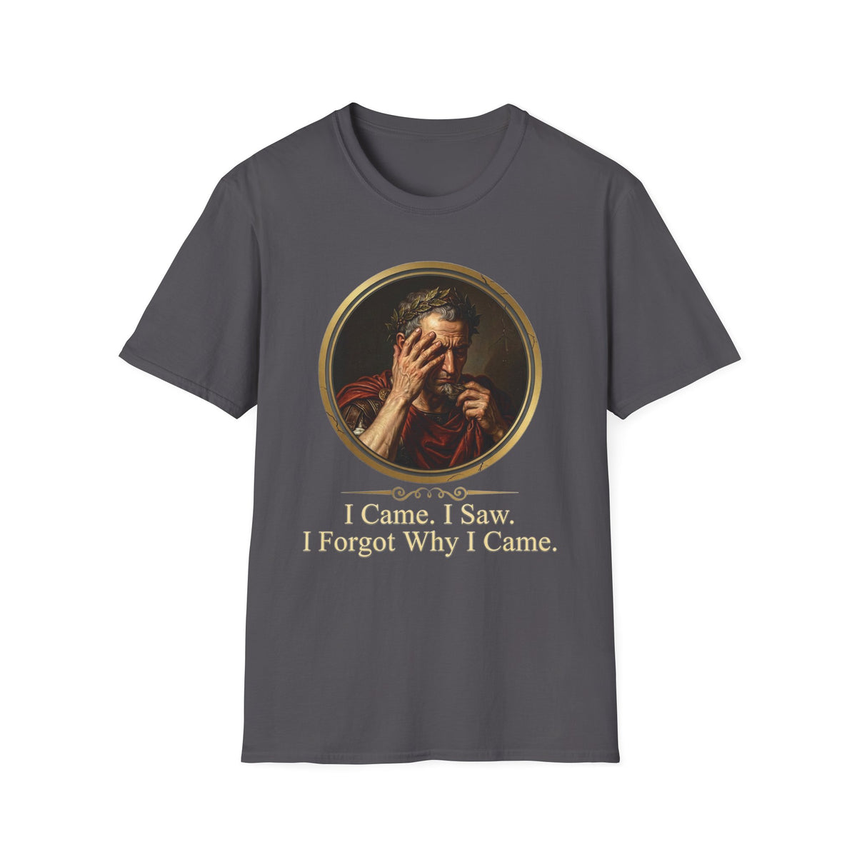 I Came, I Saw, I Forgot Why I Came T-Shirt