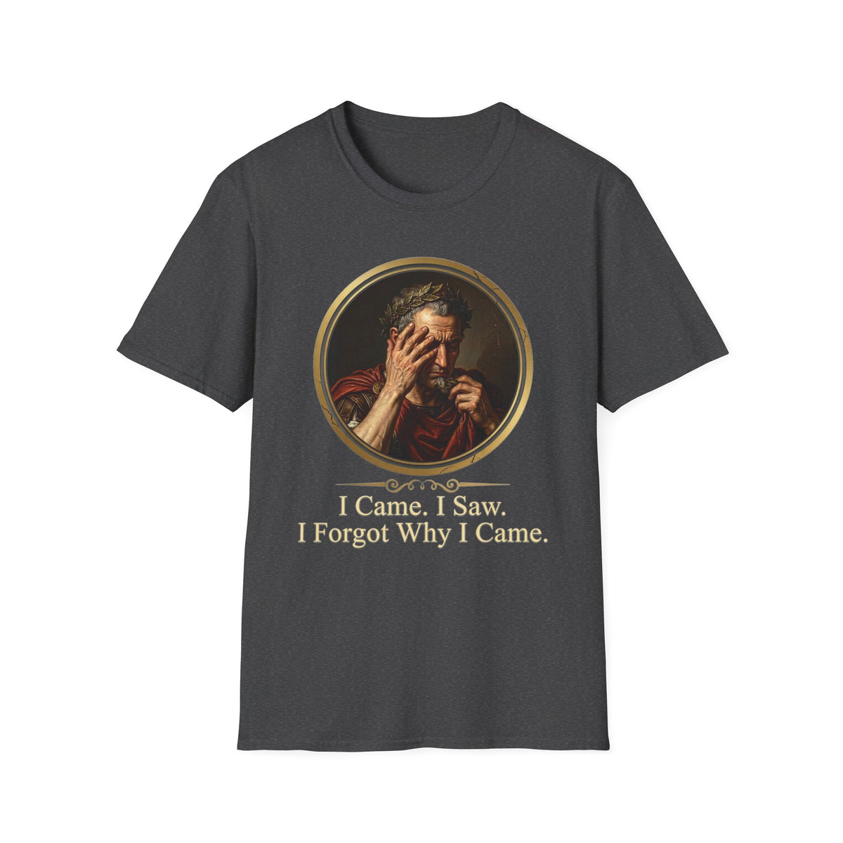 I Came, I Saw, I Forgot Why I Came T-Shirt