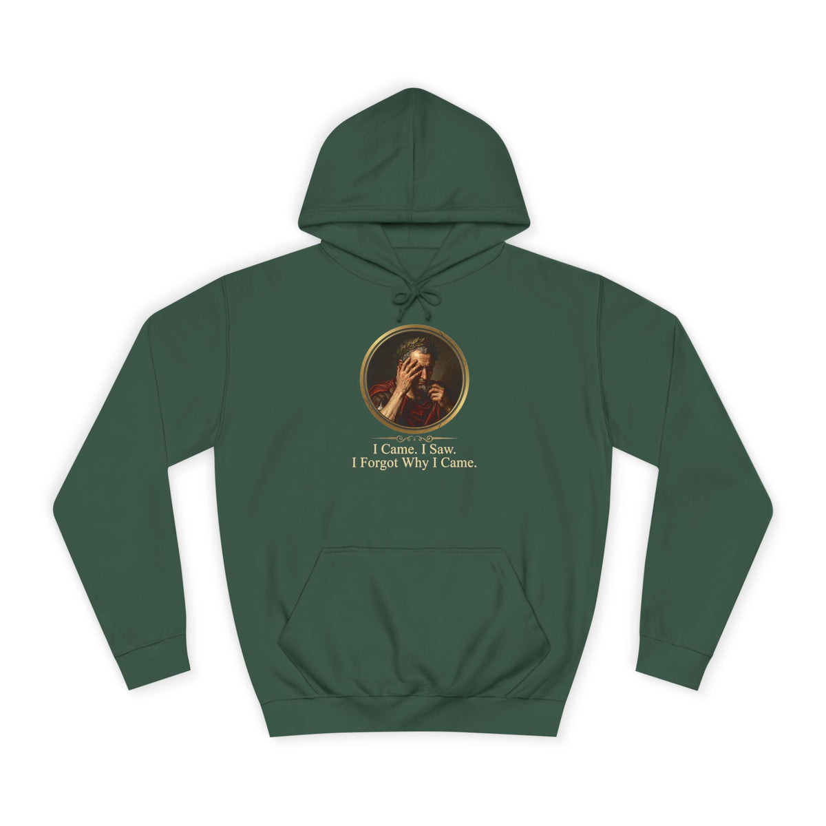 I Came, I Saw, I Forgot Why I Came Hoodie