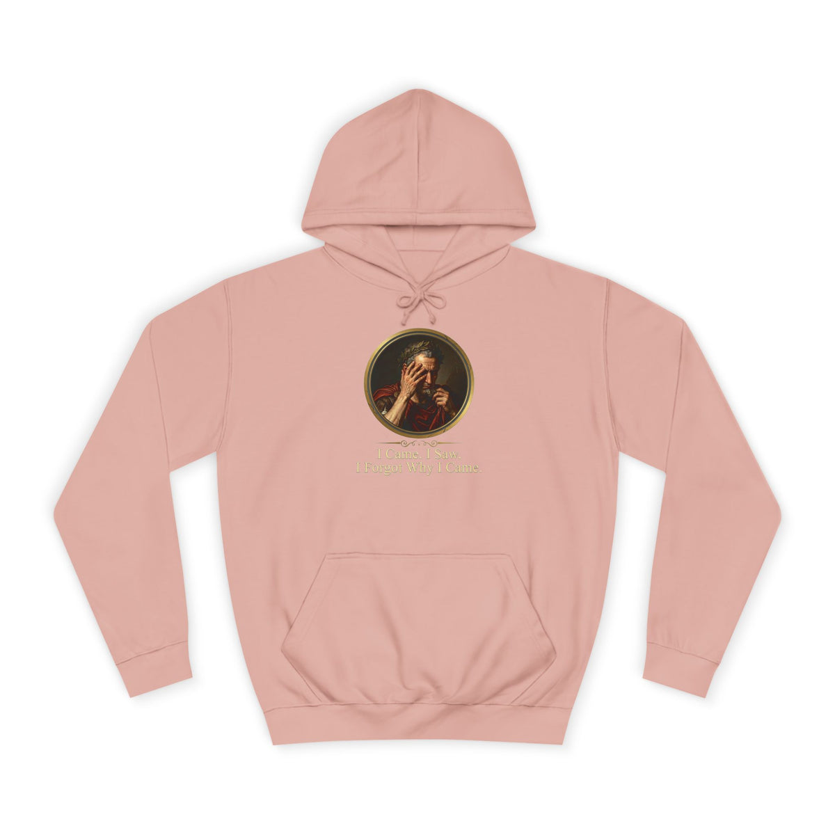 I Came, I Saw, I Forgot Why I Came Hoodie