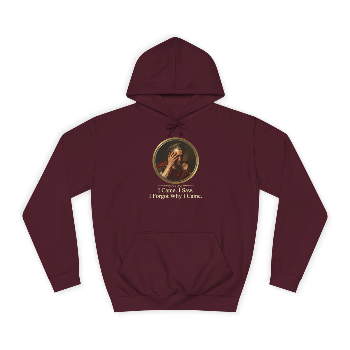 I Came, I Saw, I Forgot Why I Came Hoodie