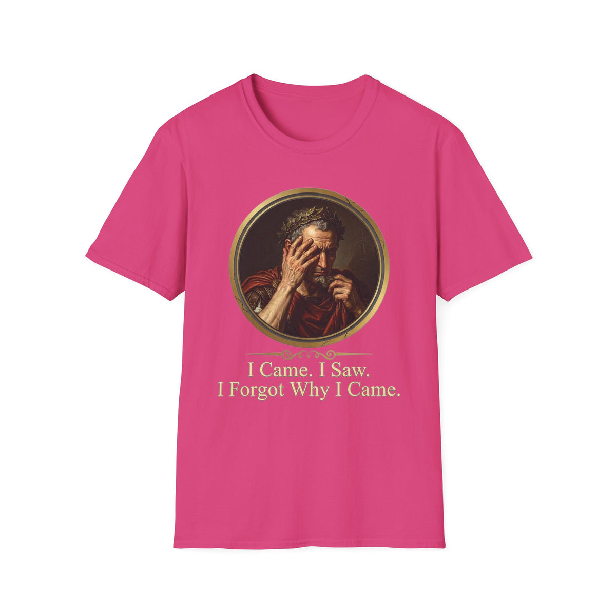 I Came, I Saw, I Forgot Why I Came T-Shirt