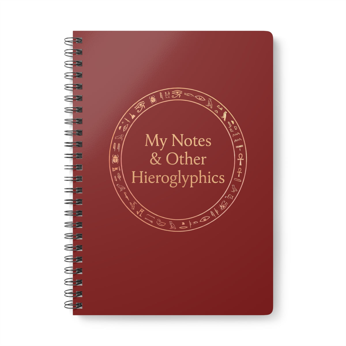 My Notes & Other Hieroglyphics A5 Wirobound Notebook
