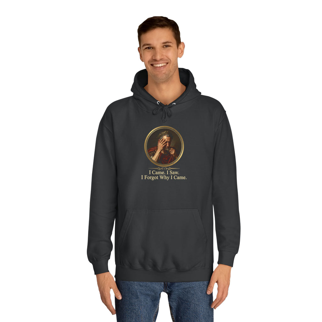 I Came, I Saw, I Forgot Why I Came Hoodie